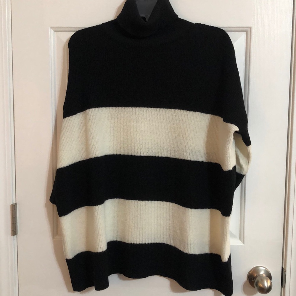 Zara Striped Turtleneck Sweater, Sz L